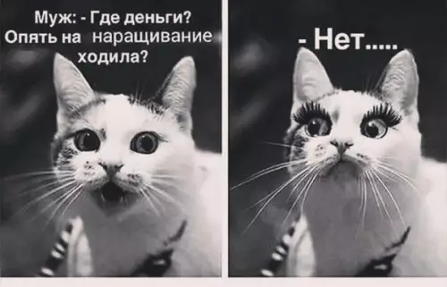 Смешная картинка №226661 ???