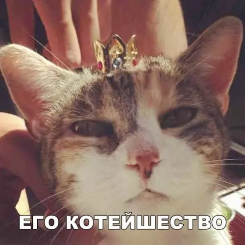 Смешная картинка №269828