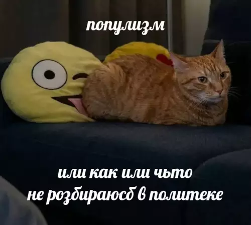 Политика глазами кота 🐈‍⬛ - популизм или как или чмто не разбираюсь в политике