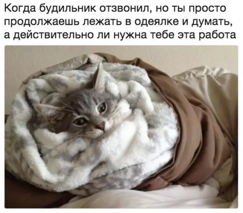 Смешная картинка №213969