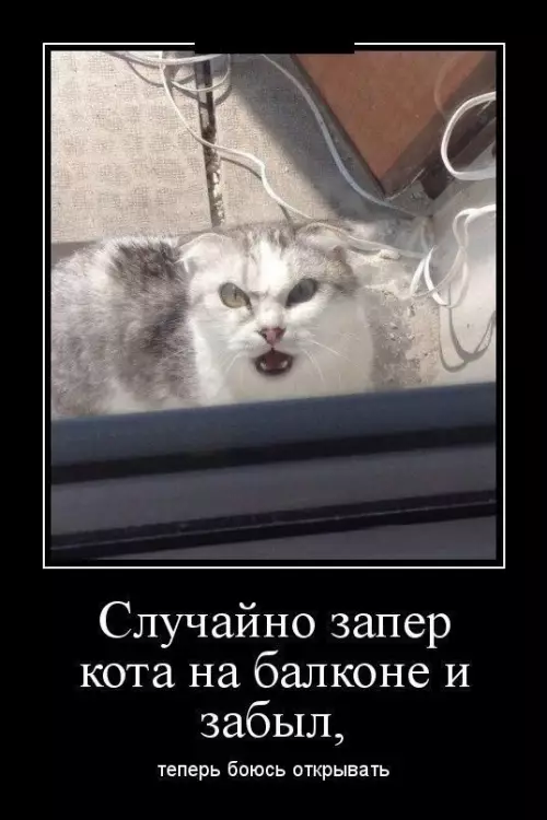 Смешная картинка №594128