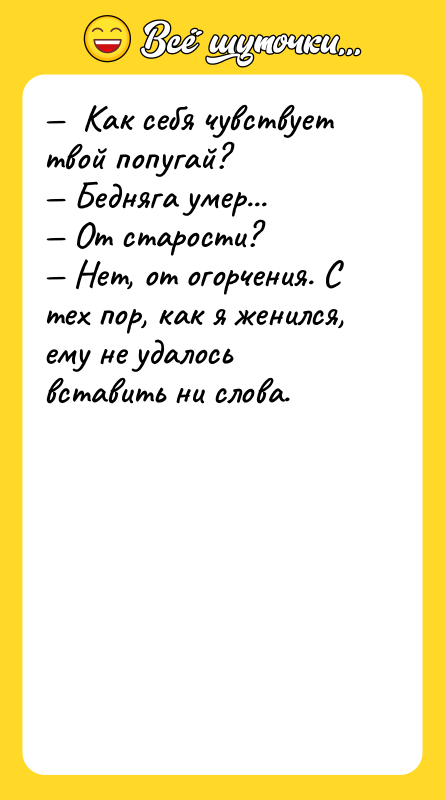 Как себя чувствует твой попугай? Бедняга умер...