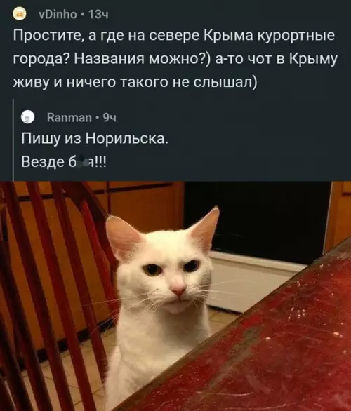 Смешная картинка №710873