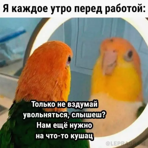 Смешная картинка №586475 Угoвopы работа
