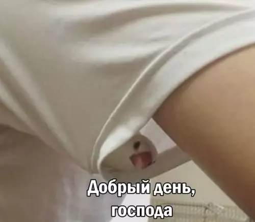 продолжение Смешная картинка №584111 Посоны ты знают