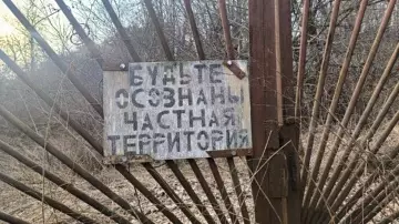 Смешная картинка №764305 Подумой
