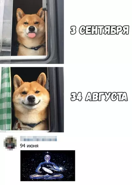 Смешная картинка №382693