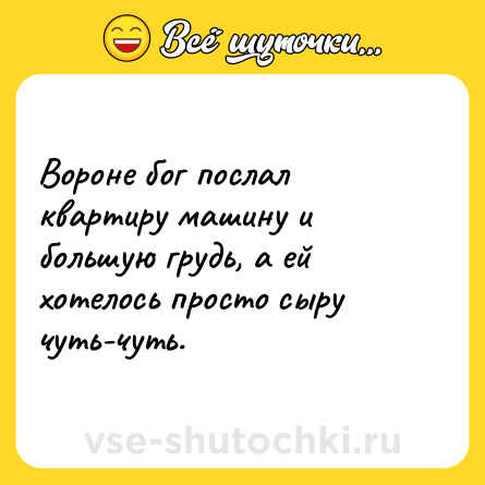 Шутка: Вороне бог послал квартиру машину и большую грудь, а ей хотелось просто сыру чуть-чуть.