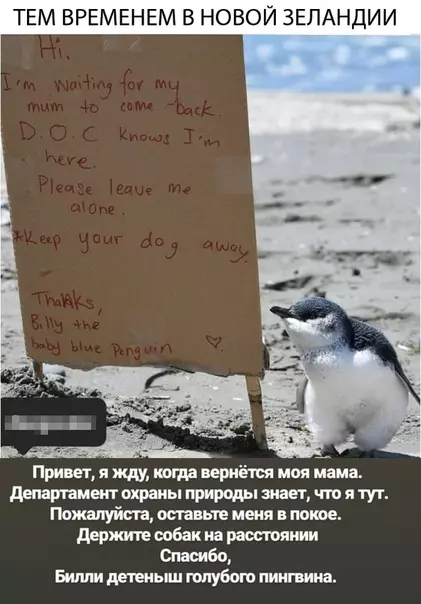 Смешная картинка №317000