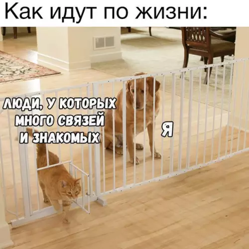 Смешная картинка №254055