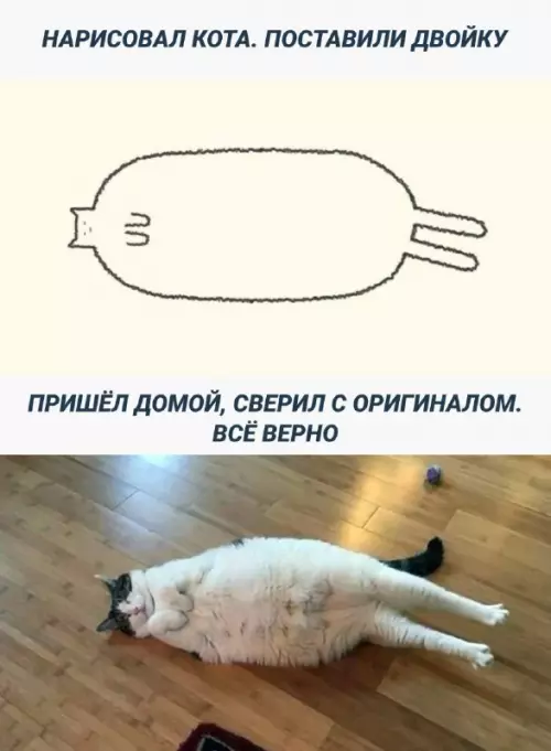 Смешная картинка №686370