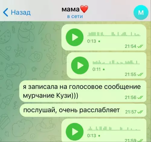 Смешная картинка №629986 Kaкиe cooбщeния я пoлyчaю oт мaмы в ватсапе