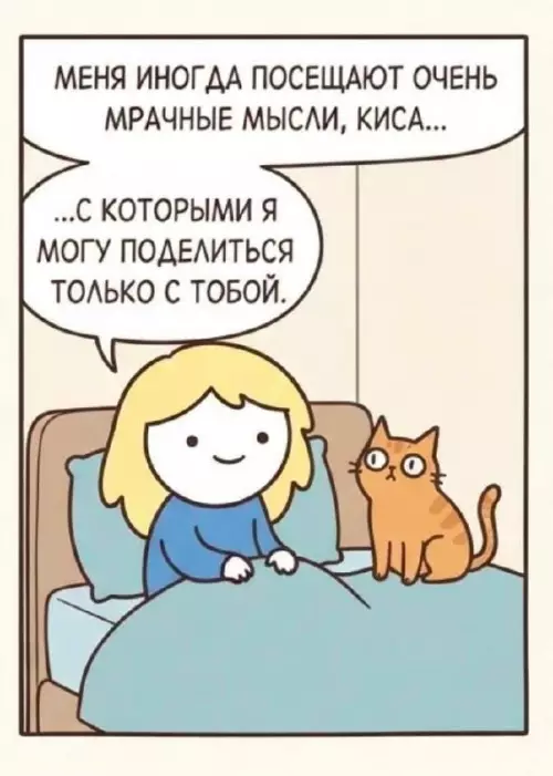 Смешная картинка №822674 Нинада Коты
