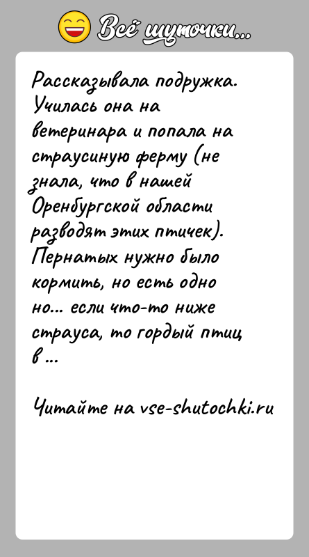 История: Рассказывала подружка. Училась она на ветеринара и попала на страусиную ферму (не знала, что в нашей Оренбургской области разводят этих