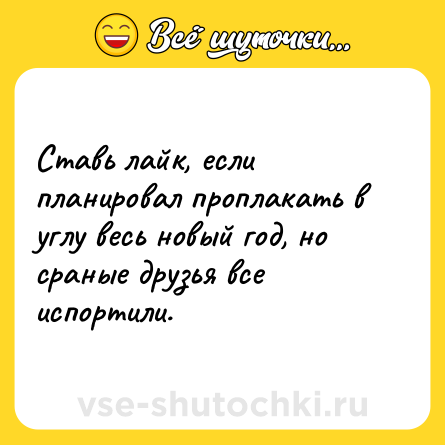 Шутка: Ставь лайк, если планировал проплакать в углу весь новый год, но сраные друзья все испортили.