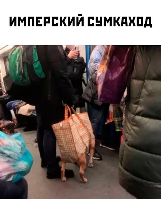 Смешная картинка №675227