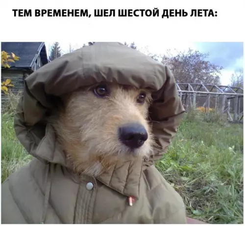 Смешная картинка №280171