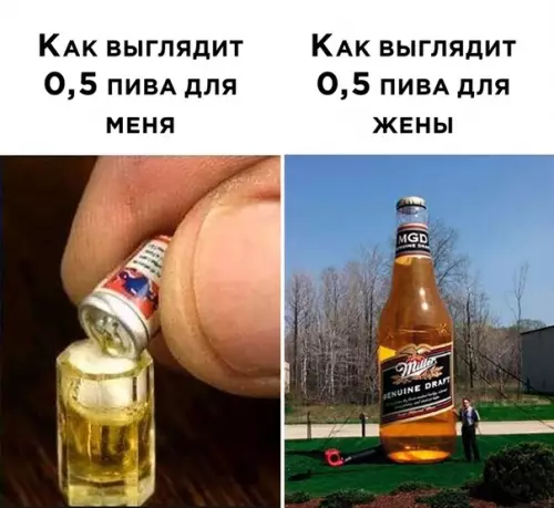 Смешная картинка №510719