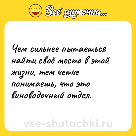 Шутка: Чем сильнее пытаешься найти своё место в этой жизни, тем четче понимаешь, что это виноводочный отдел.