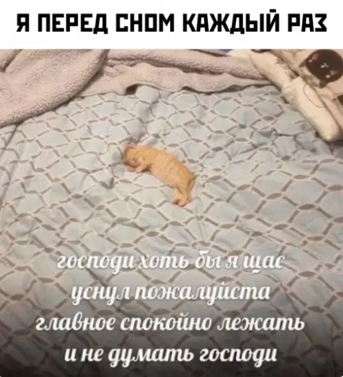 Смешная картинка №692562