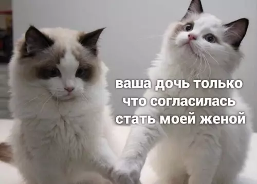 Смешная картинка №497797