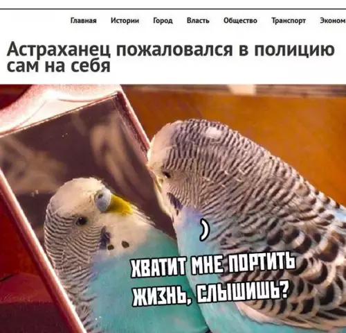 Смешная картинка №365540
