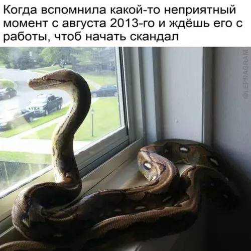 Смешная картинка №556090 Точнее не описать