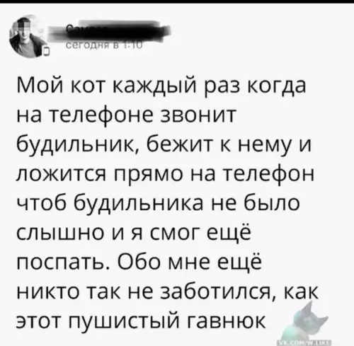 Смешная картинка №322871 ))))