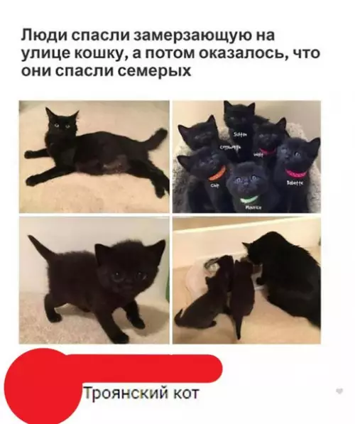 Смешная картинка №269940
