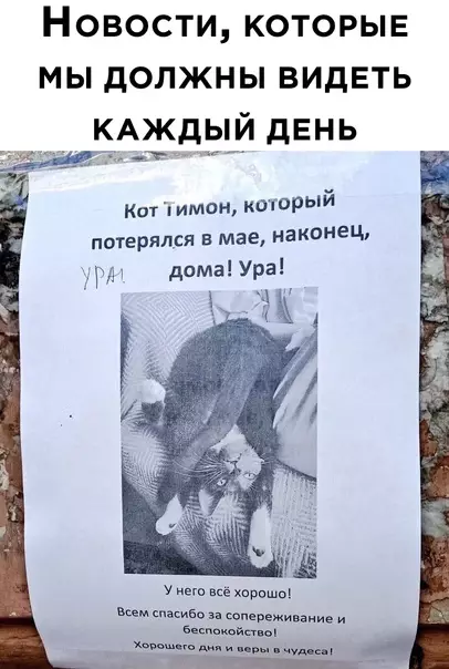 Смешная картинка №586832