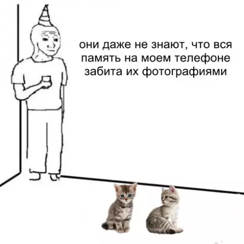 Смешная картинка №690907 коты