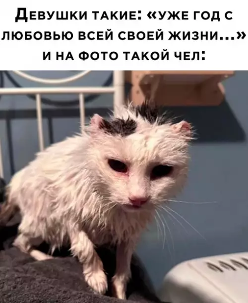 Смешная картинка №715270