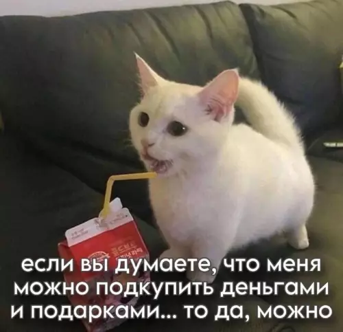 Смешная картинка №719845