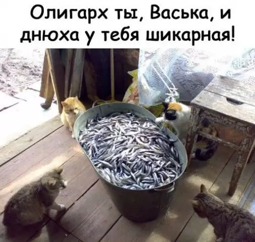 Смешная картинка №374738 .