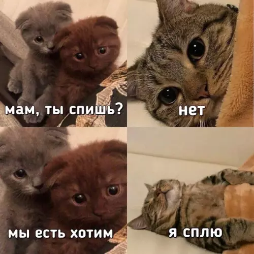 Смешная картинка №545498 Знакoмо вceм мaмaм.