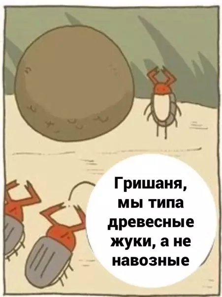 продолжение Смешная картинка №565308 Да они просто завидуют