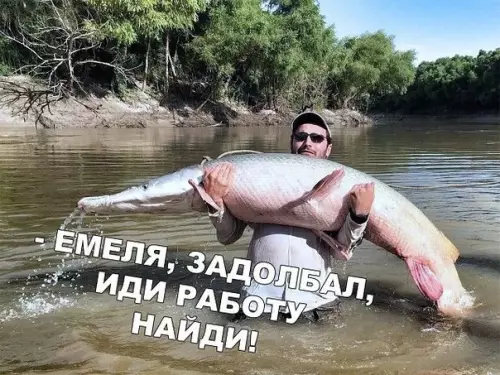 Смешная картинка №382894 .