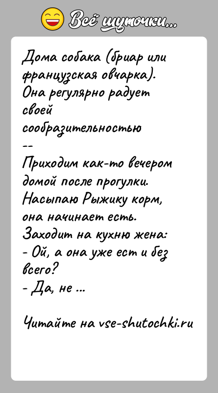 История: Дома собака (бриар или французская овчарка). Она регулярно радует своей сообразительностью-- Приходим как-то вечером домой после прогулки. Насыпаю Рыжику корм,