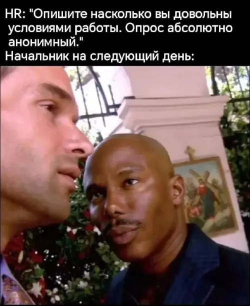HR-ы, вы серьезно? 🤡🕵️‍♂️ - HR: Опишите насколько вы довольны условиями работы. Опрос абсолютно анонимный.