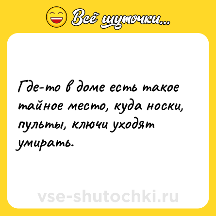 Шутка: Где-то в доме есть такое тайное место, куда носки, пульты, ключи уходят умирать.