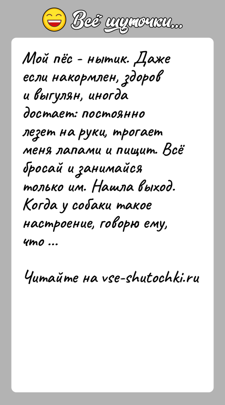 История: Мой пёс - нытик. Даже если накормлен, здоров и выгулян, иногда достает: постоянно лезет на руки, трогает меня лапами и