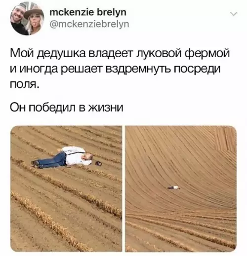 Смешная картинка №348917
