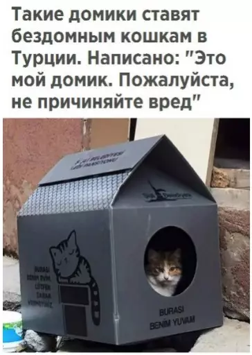 Смешная картинка №291621