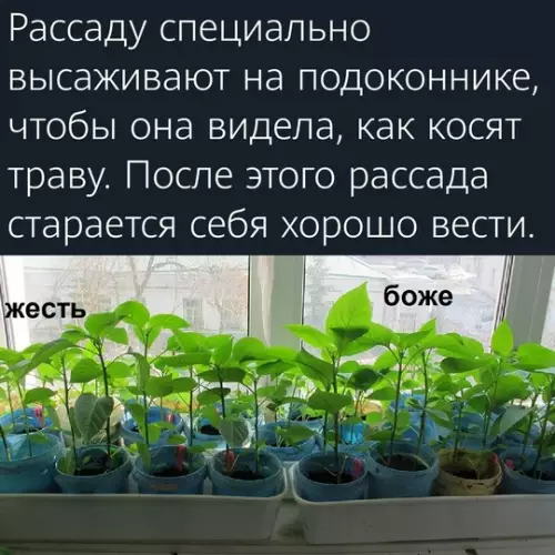 Смешная картинка №765457