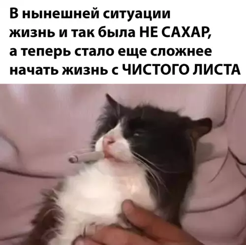 Смешная картинка №635539