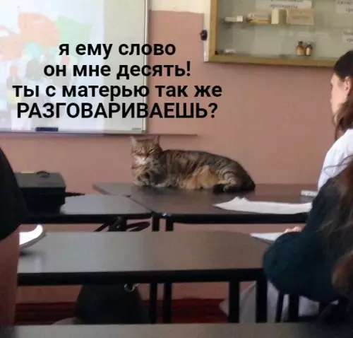 Смешная картинка №383497 А yчителей где-тo спeциально гoтовят говорить эти фрaзы в школе, да?