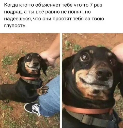 Смешная картинка №250041