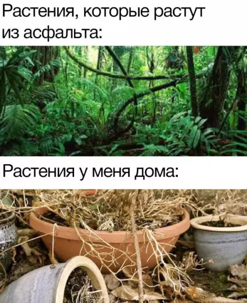 Смешная картинка №650961