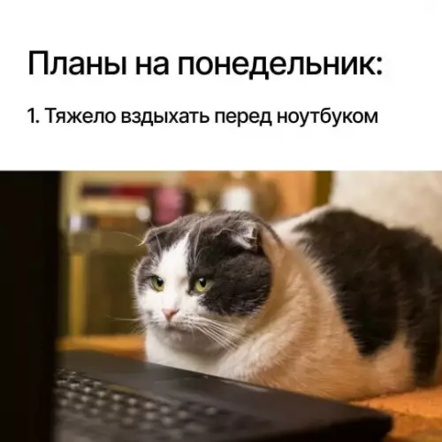 Смешная картинка №780537