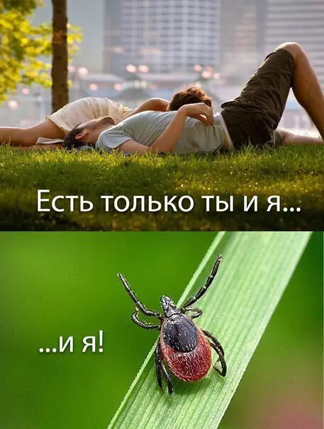 Смешная картинка №174209 Уже скоро